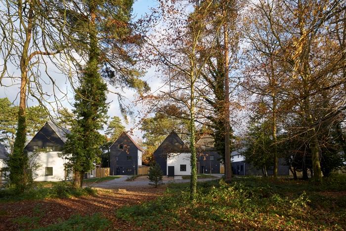 CarrowbreckMeadow1333JeffersonSmithWebImage4jpg