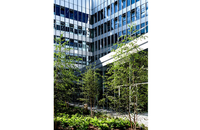 CityofGlasgowCollegeCourtyardCityCampusReiachandHallArchitectsjpg