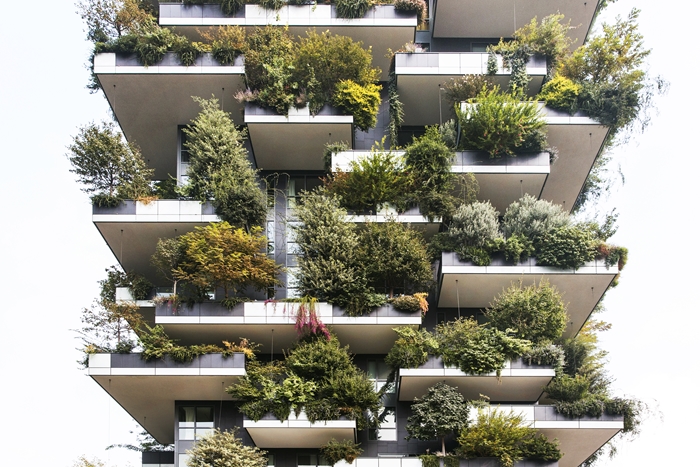 VerticalForest2026GiovanniNardiWEBIMAGE3jpg