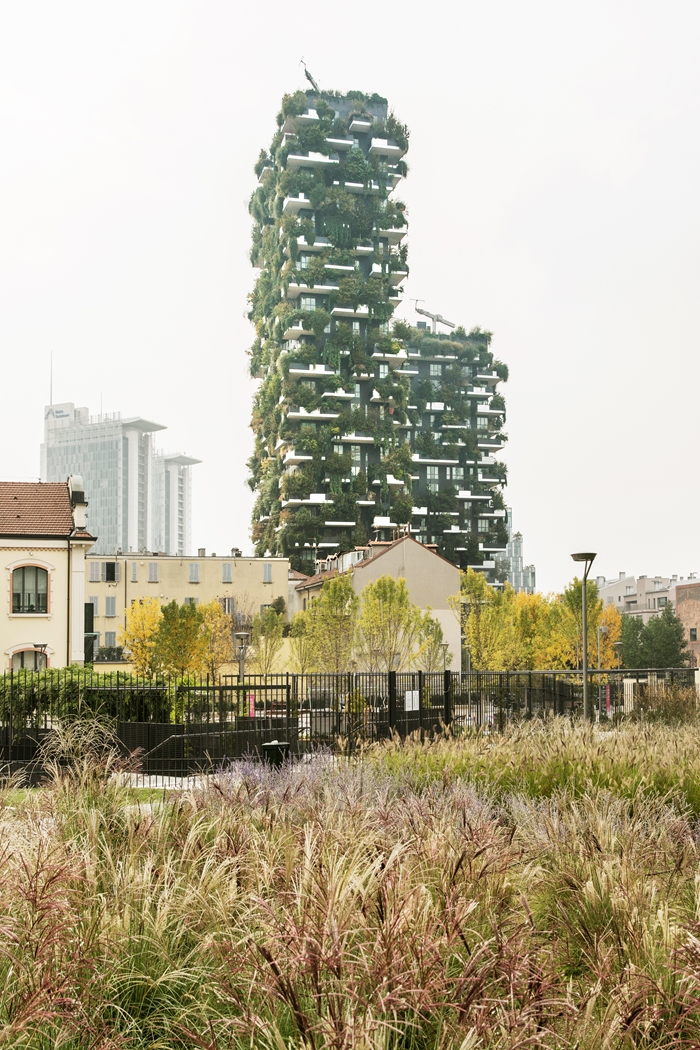 VerticalForest2026GiovanniNardiWEBIMAGE5jpg