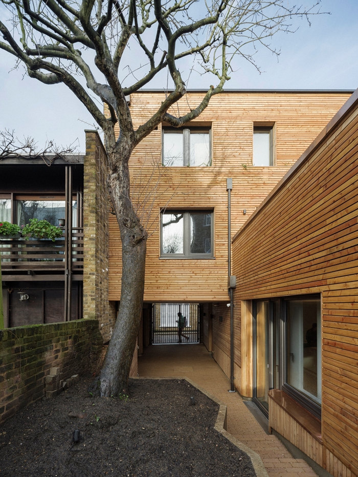 Camden Mews3176Tim CrockerWEBIMAGE1jpg