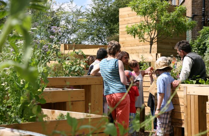 Image 3Grenville Alotment GardenRSjpg