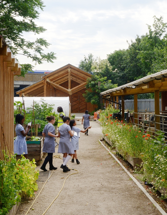 WaterlooCityFarm2650FeildenFowlesArchitectsWEBIMAGE3jpg