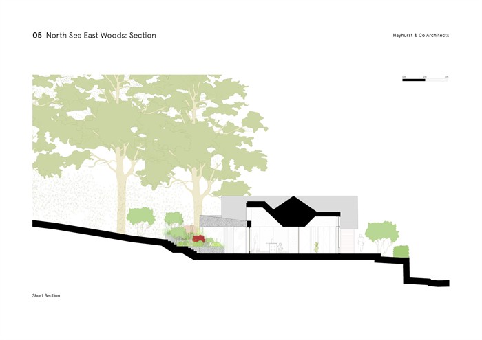 North Sea East WoodHayhurst CoWEBIMAGE20jpg