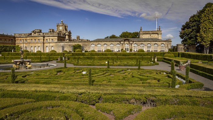 Blenheim Palace OrangeryAndrew Ogilvy PhotographyWEBIMAGE5jpg