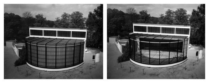 The Gorilla house London ZooImage5jpg