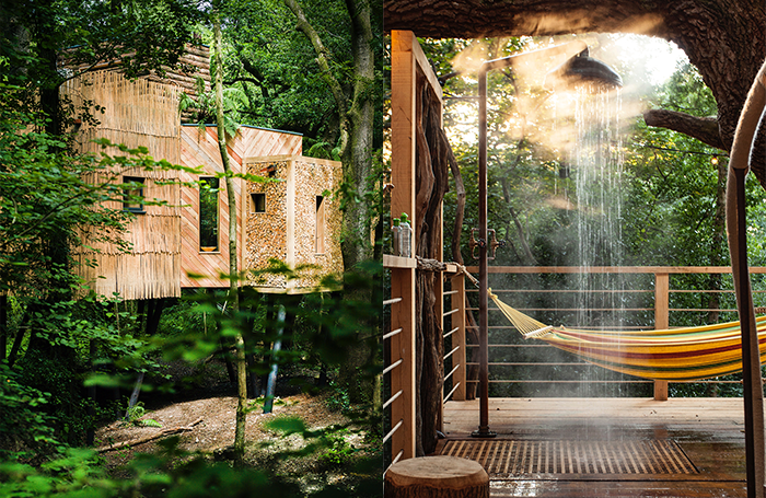Mallisons Treehouses v2png