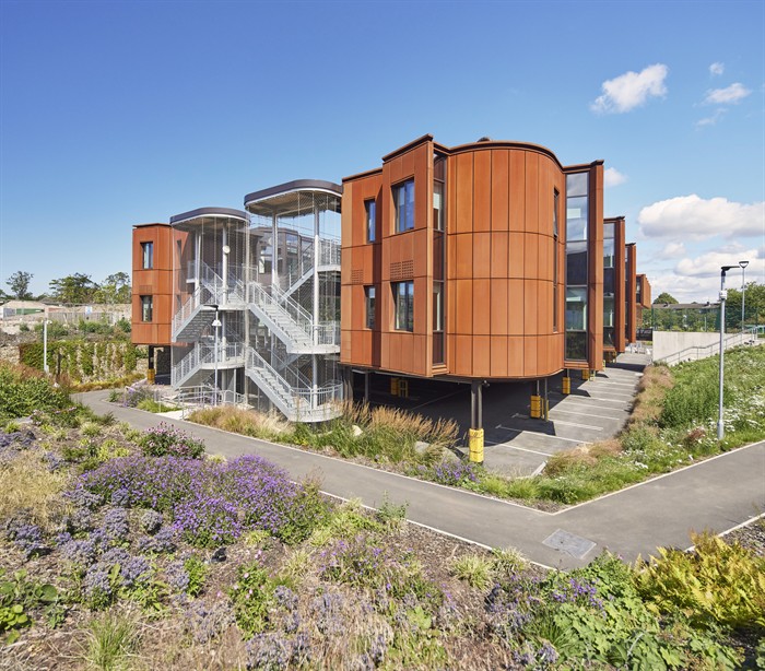 The Catkin Centre and Sunflower HousePaul RafteryWEBIMAGE1jpg