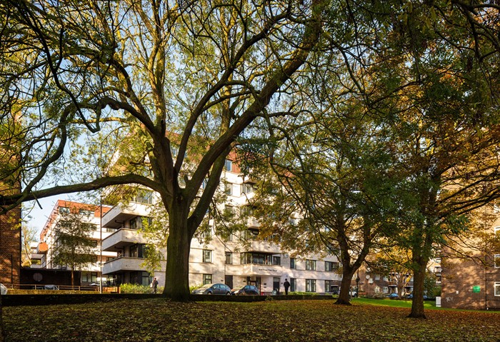 Maitland Park Estate RedevelopmentWill ScottWEBIMAGE4jpg