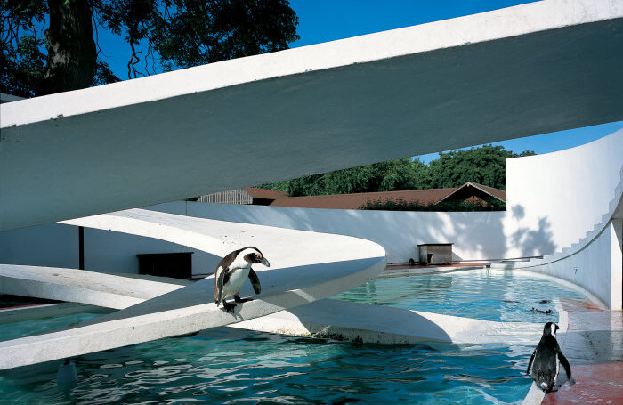 RIBA28113jpg