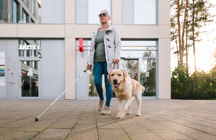 Inclusive Overlay Blind woman walking her dog near a modern building designed by arcitectsjpg