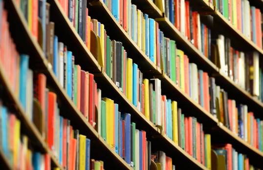 Bookcase with books in a variety of colours