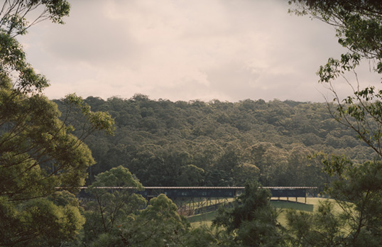 Bundanon Bridge, surrounded by forest. The bridge is a metal structure with an arched underneath.