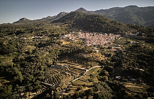 Mountainous area with a town. Liknon almost blends in to the hills in front of the town, only small lines of the terrace walls visible.