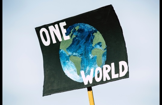 Handpainted sign for a climate protest that says 'one world' with the earth in the middle