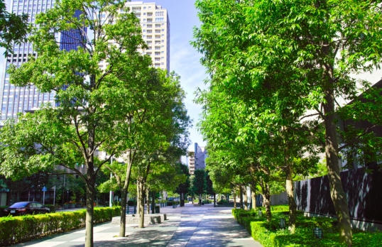 Tree lined street in urban area with apartment blocks in the background