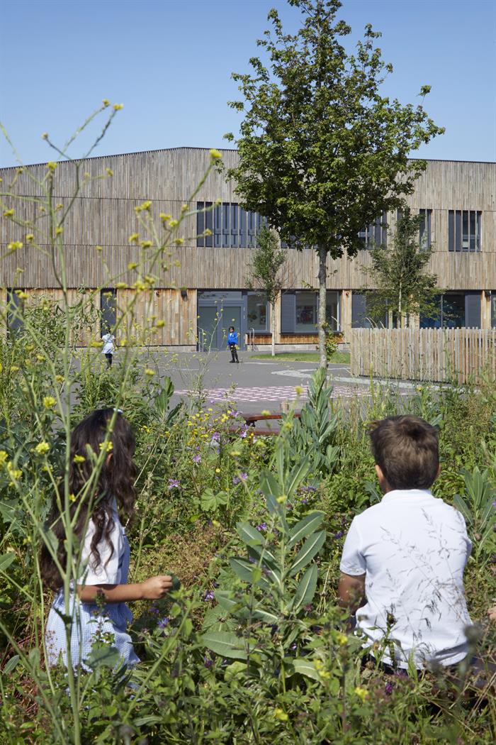 Hackbridge Primary School517Jack HobhouseWEBIMAGE6jpg