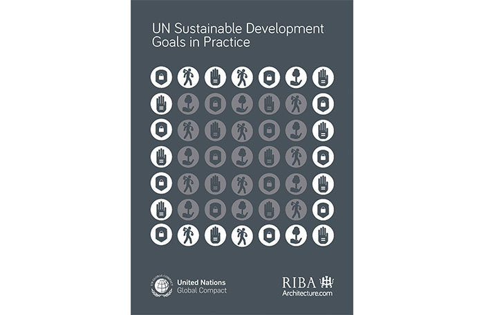 UN Sustainable Development Goals In Practice