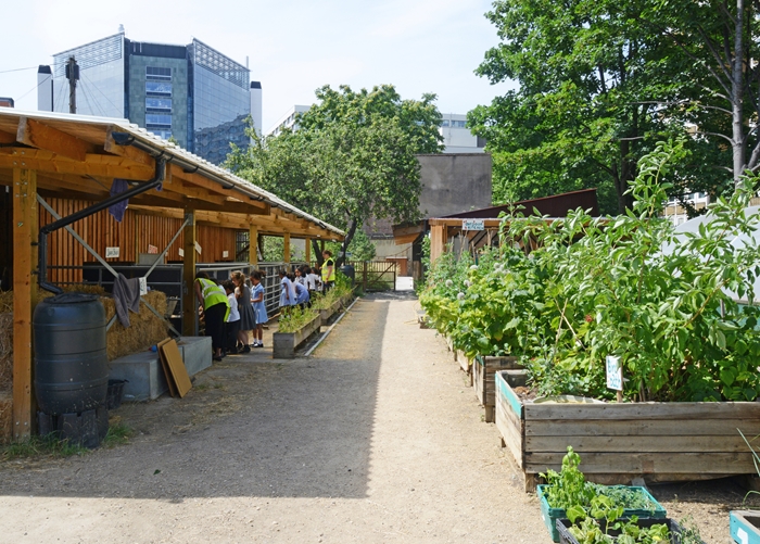 WaterlooCityFarm2650FeildenFowlesArchitectsWEBIMAGE9jpg