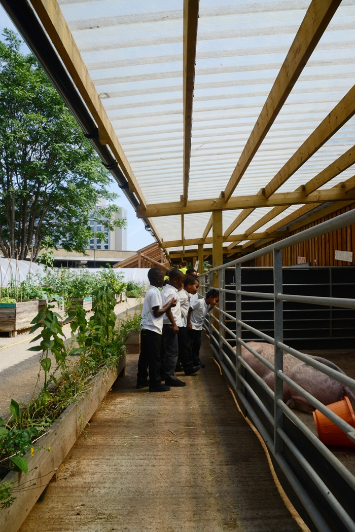 WaterlooCityFarm2650FeildenFowlesArchitectsWEBIMAGE10jpg