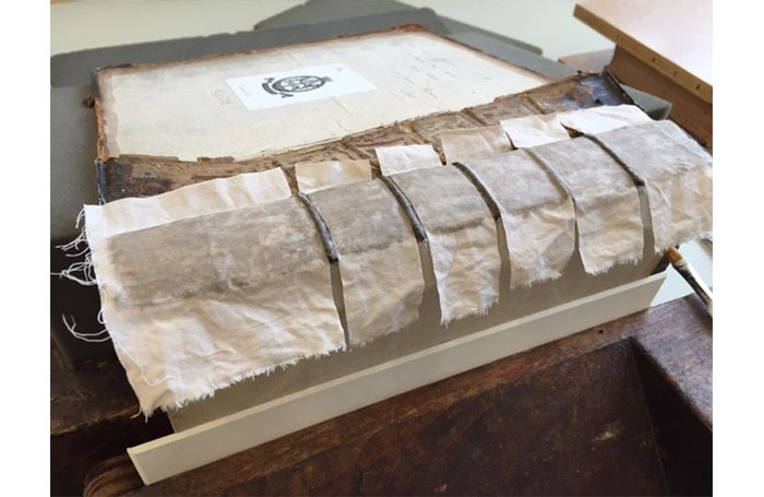 Conservationofvolumespine700x455jpg