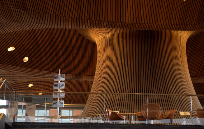 Senedd Cymru body onepng