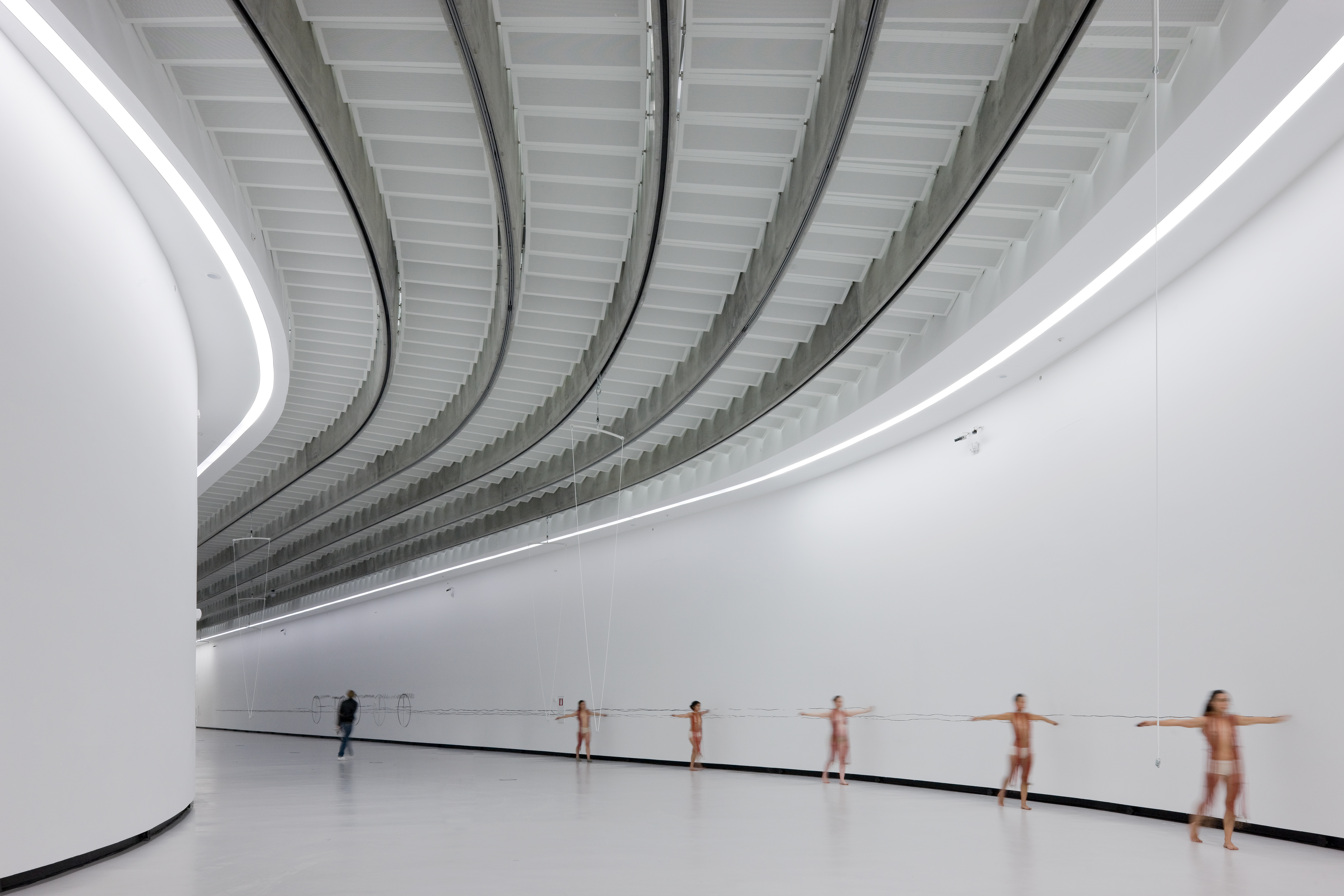 MAXXI011HcIwanBaanjpg