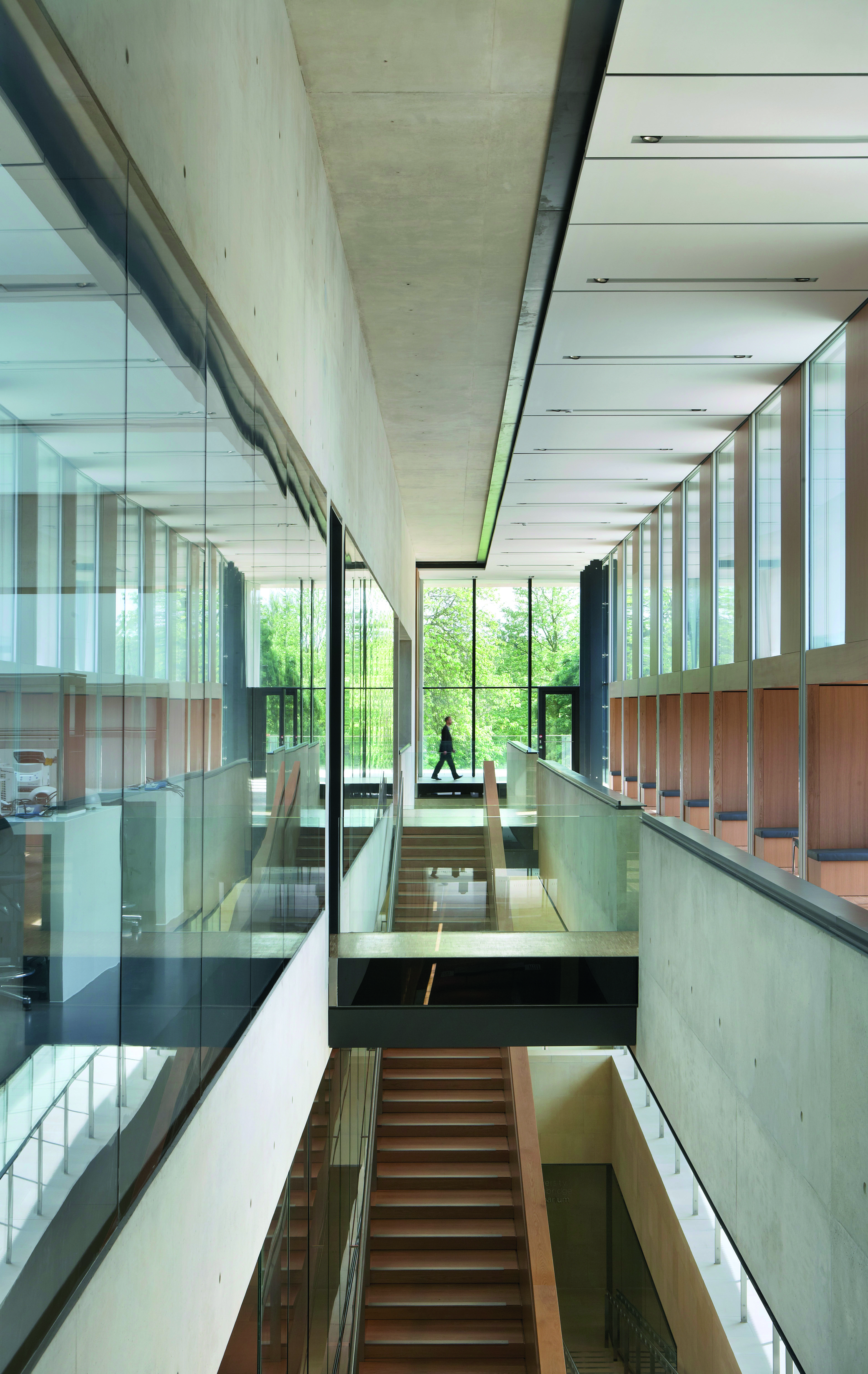 SainsburyLaboratory11HuftonCrowjpg