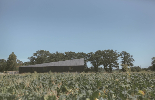 Black Barn