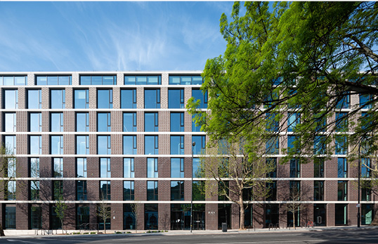 The Ray Farringdon