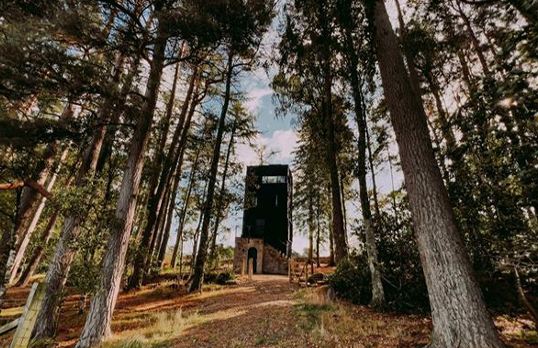 Tall black wooden tower in middle of forest with tall trees all around