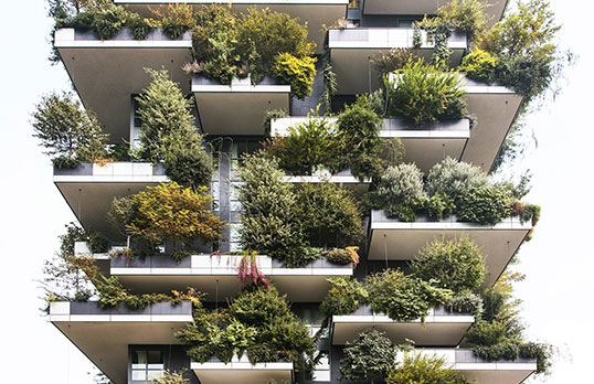 Vertical Forest