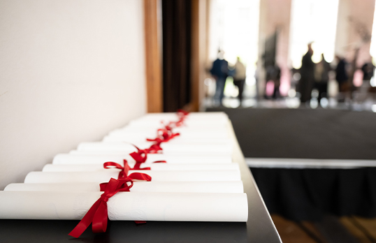 RRIBA Honorary Fellows paper certificates with red ribbon