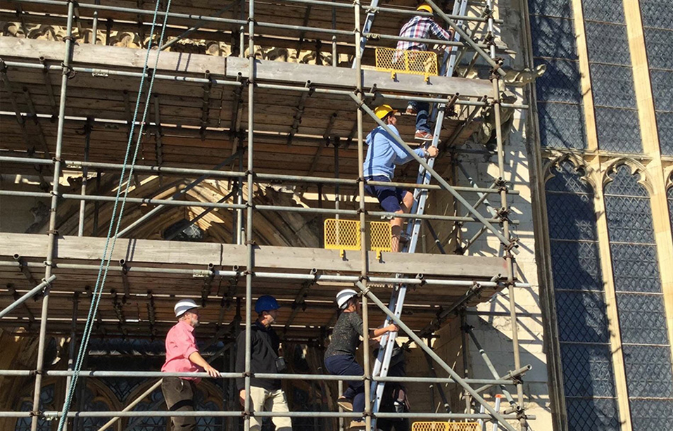 Conservation work