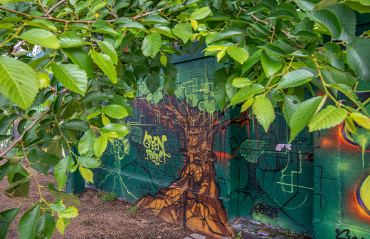 Tree leaves framing a painted wall mural of a tree trunk