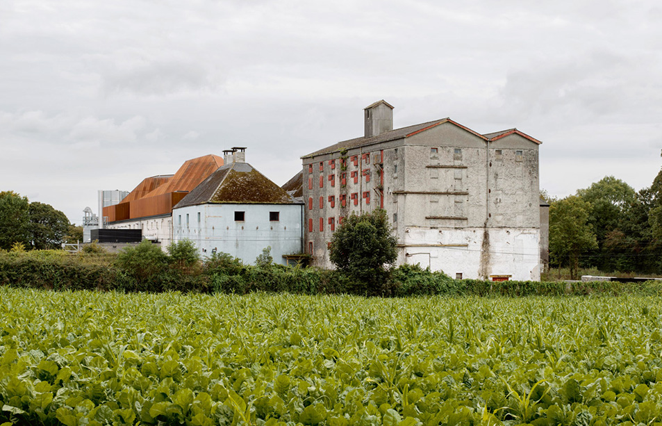 An Oak Distillery, a series of aged brick buildings with a field in the foreground