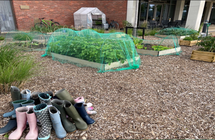 Mini allotment within school