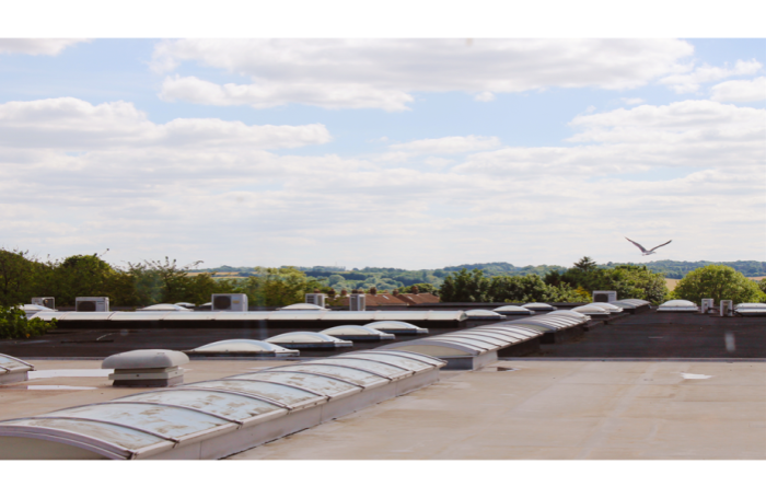 Perspective, roof alterations