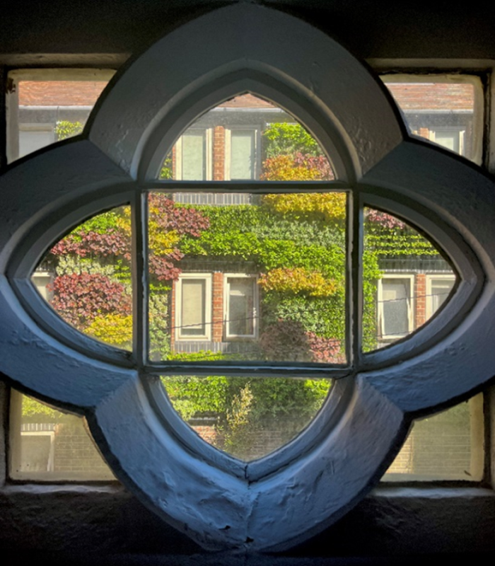 A living wall, consisting of plants